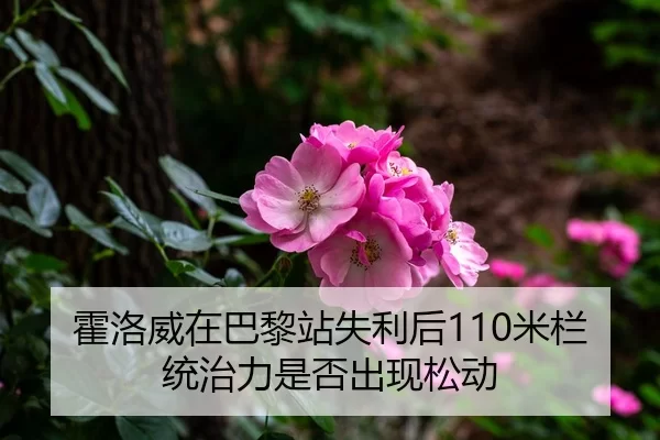 霍洛威在巴黎站失利后110米栏统治力是否出现松动